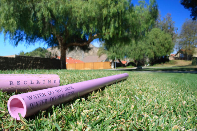 photo - Recycled Water Pipe on Grass