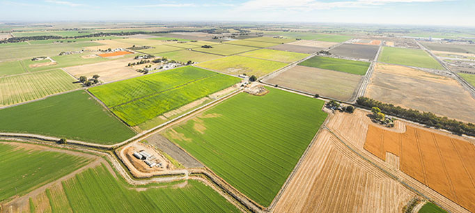 photo - Aerial View of Farmland in California