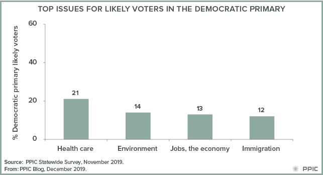 figure - Top Issues for Likely Voters in the Democratic Primary