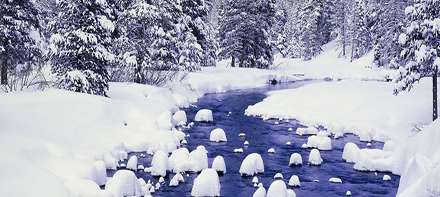 photo - Snow Covered Forest Along the Truckee River at Lake Tahoe,California