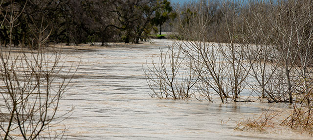 photo - Flooded River