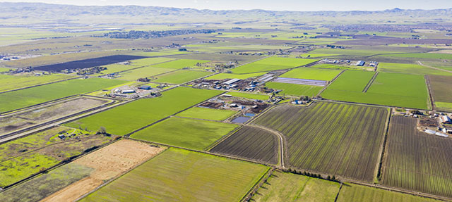 photo - Aerial View of Farmland in Central Valley, California