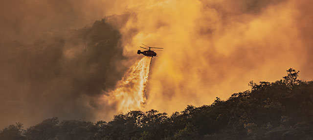 photo - Helicopter Dumping Water on Forest Fire