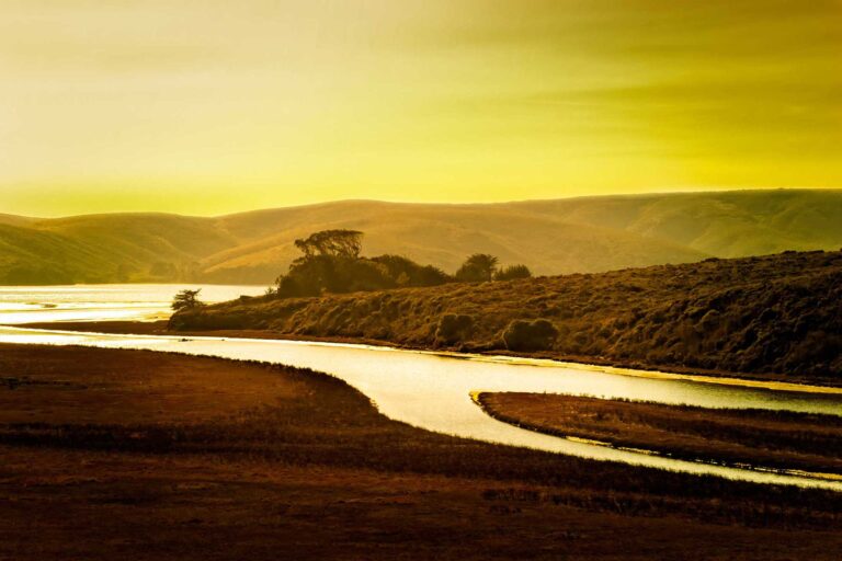 Photo - Stream of Gold, Sunset Landscape In California