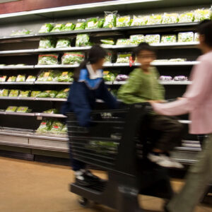 photo - Mother at Supermarket Pushing Shopping Cart with Children in It