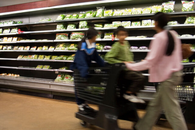 photo - Mother at Supermarket Pushing Shopping Cart with Children in It