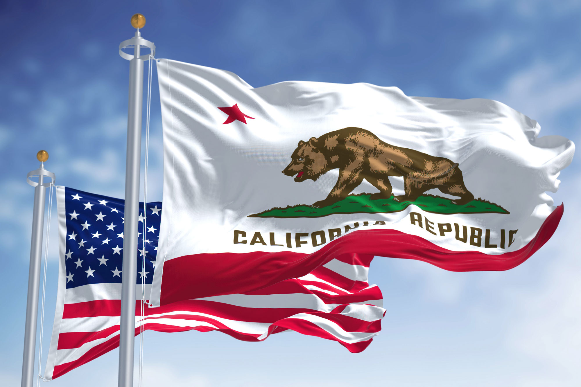 Californias State Flag