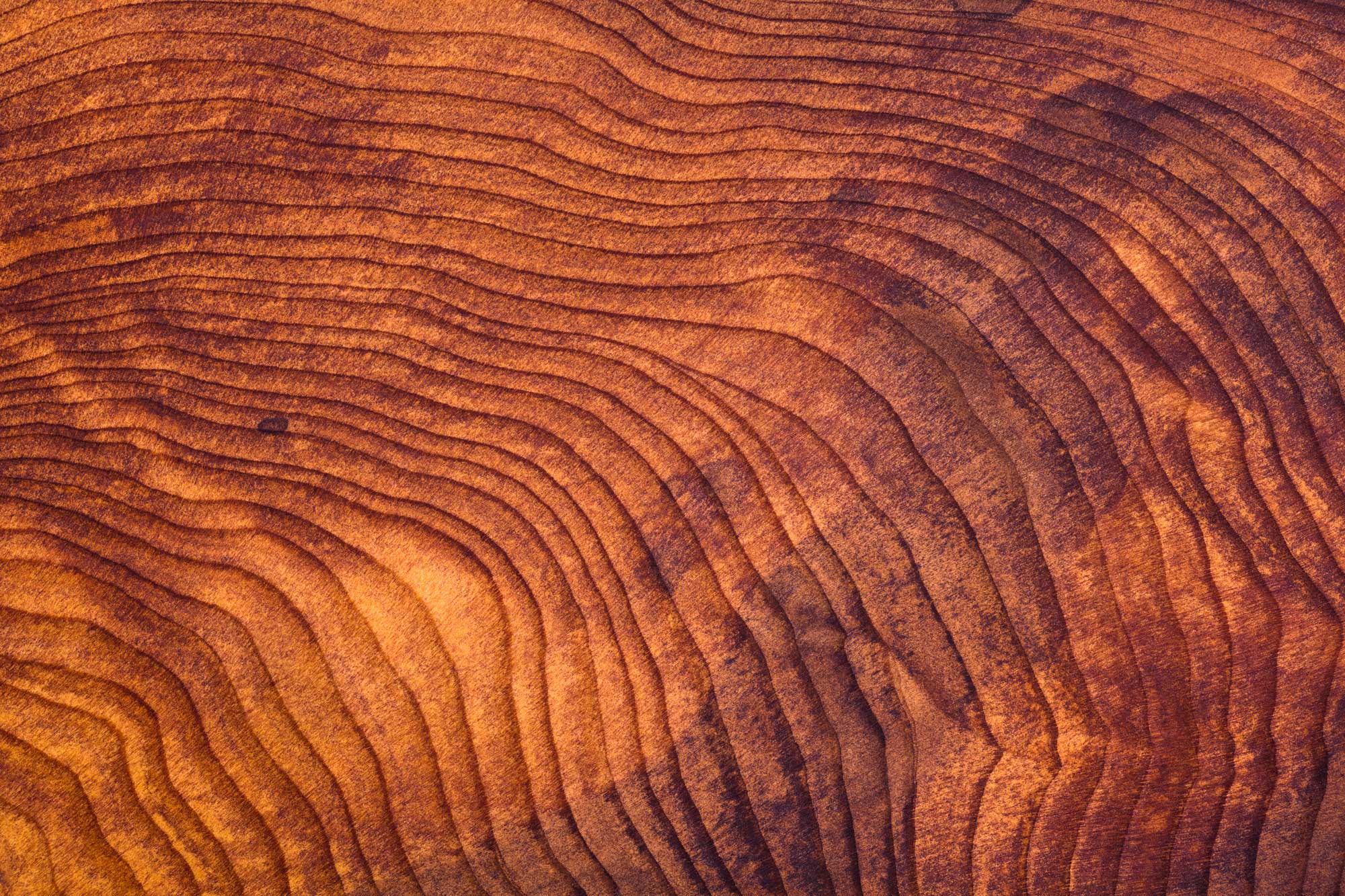 Close Up Of Redwood Burl Wood Grain Texture 1 