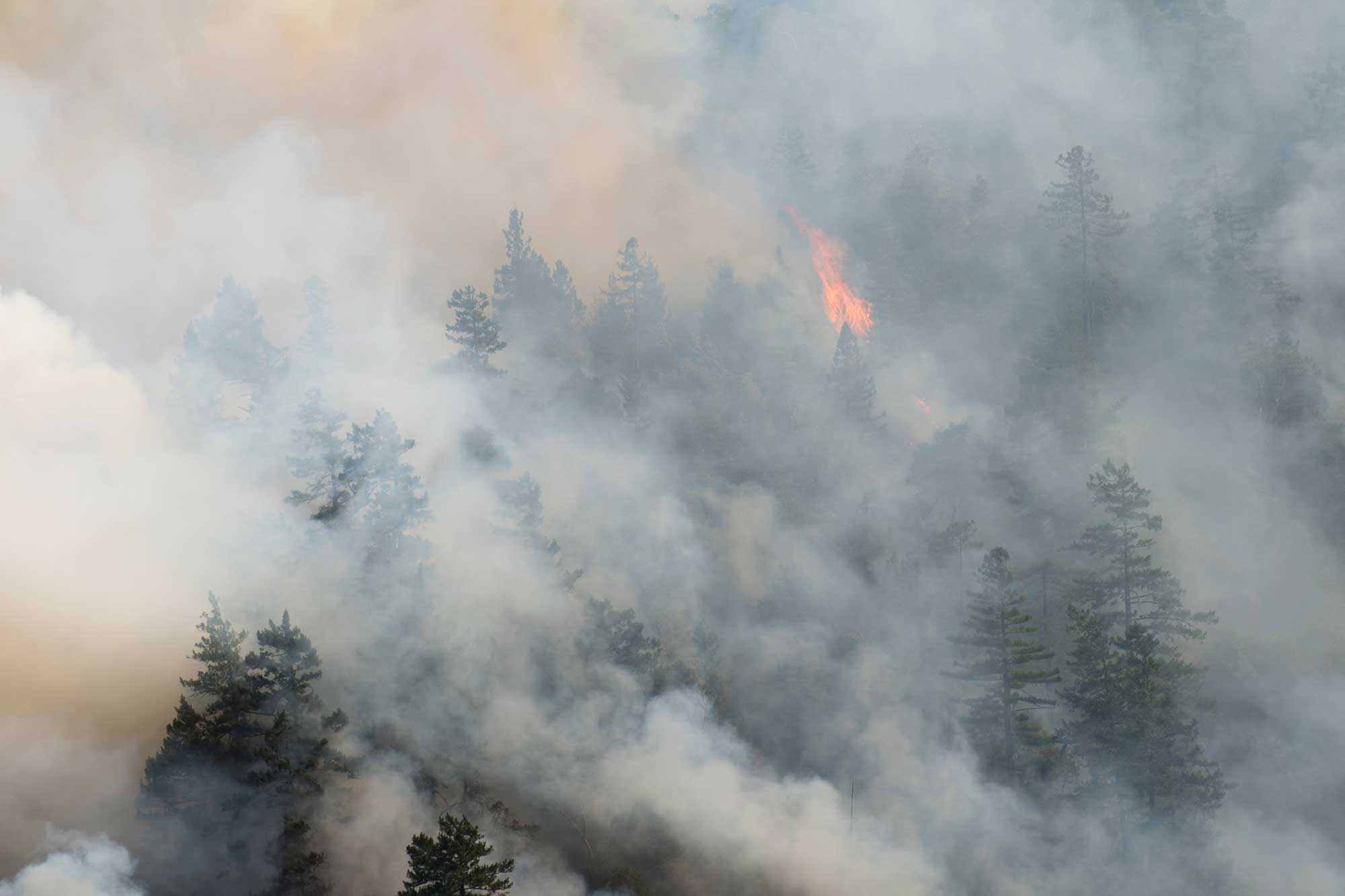Ask an Expert: How Dangerous is Wildfire Smoke?